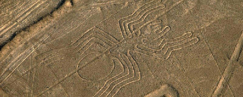 Lineas de Nazca - Araña